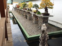 Maｒbellaの盆栽美術館