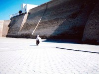 ・アルク城の城壁が見事なので1枚 ・うまいぐあいに民族衣装のヒトがいてくれた