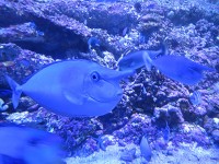 水族館