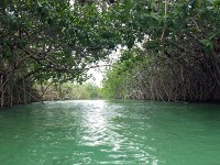 シアンカーン探検中