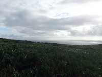 ロカ岬。風が強くて寒かったです・・・
