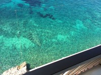 5階のバルコニーからでも海底が見える透明さ