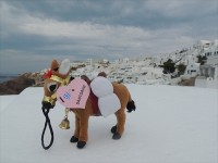 ロバには乗れなかったのでせめて…とロバちゃんを自分のお土産に