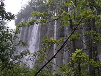 滝の上には、何もなさそうに見えるがあの水量はどこから・・・？ 雨上がりとはいえ、水の濁りもなくどこもかしこも綺麗だった。
