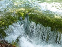 なに！？このきれいな水は？