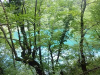 エメラルドグリーンに光る湖面。綺麗だな~